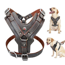 Load image into Gallery viewer, Genuine Leather Dog Harness
