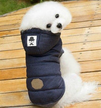 Load image into Gallery viewer, Dog Clothes Winter
