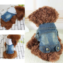 Load image into Gallery viewer, Fashion Dog  Jacket
