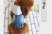 Load image into Gallery viewer, Fashion Dog  Jacket
