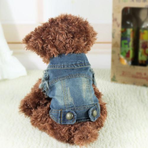 Fashion Dog  Jacket