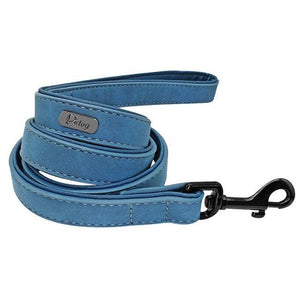 Dog Leash Leather