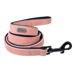 Dog Leash Leather