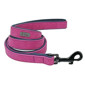 Dog Leash Leather