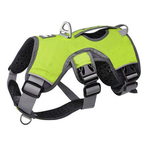 Large Dog Harness