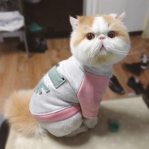 Cute Costume Cat